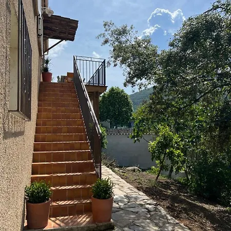 Villa Maison Avec Piscine - 8 Personnes - Corse Du Sud